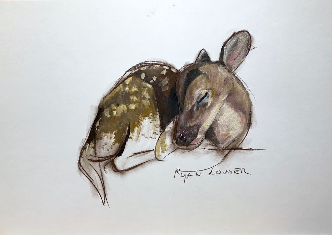 Bambi by Ryan Louder