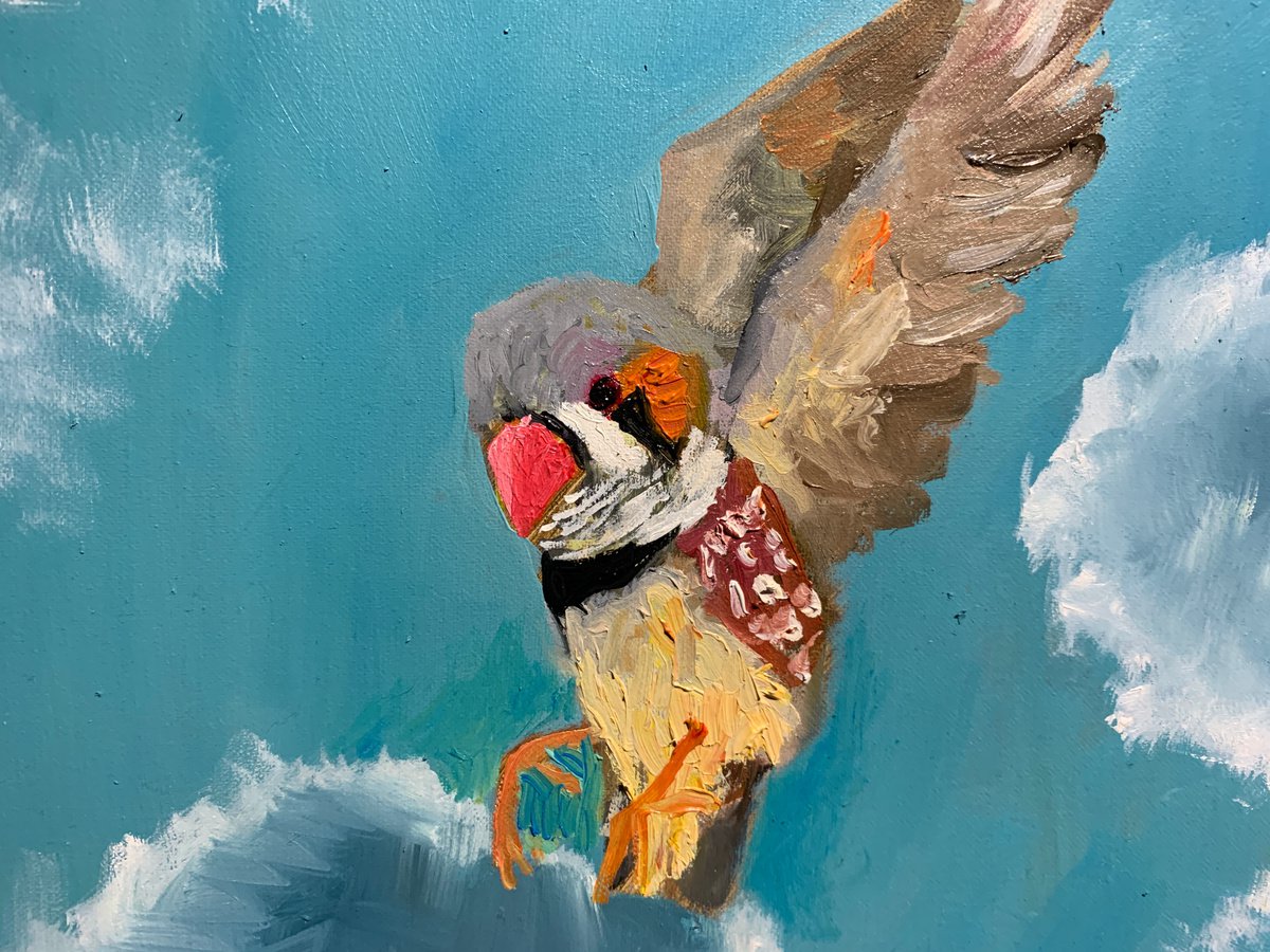 The Boy Who Could Fly - close-up-artwork
