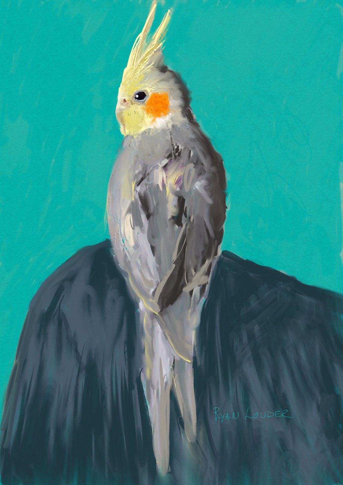 A painting titled 'Cockatiel Against A Teal Background by Ryan Louder' by Ryan Louder