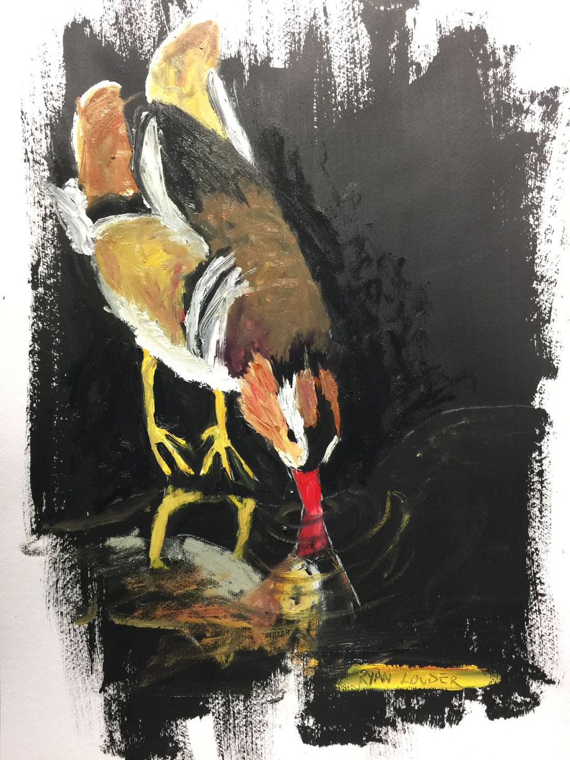 Duck by Ryan Louder - Hahnemühle German Etching Fine Art Print