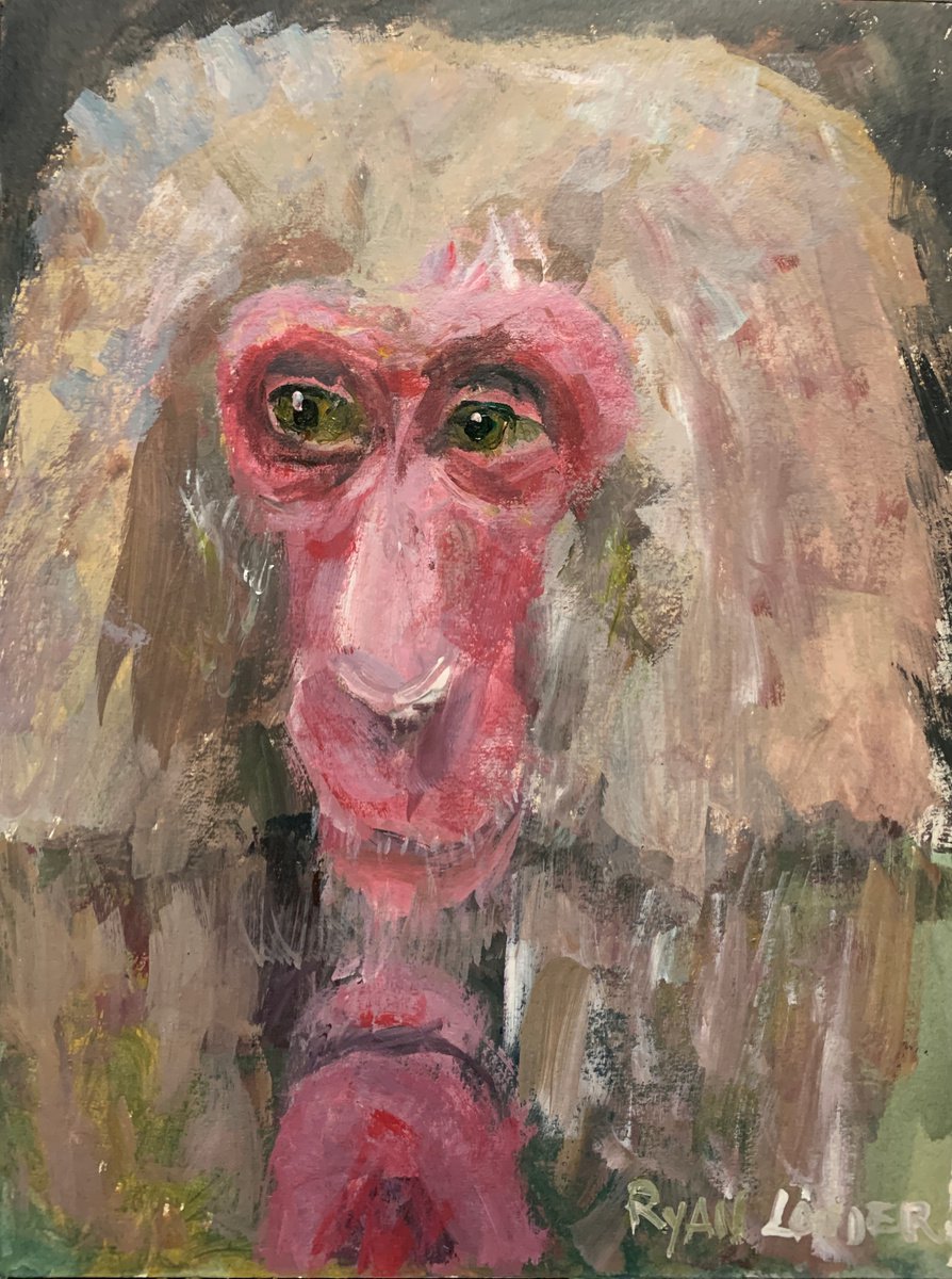 Japanese Macaque Monkey by Ryan Louder - Hahnemühle German Etching Fine Art Print