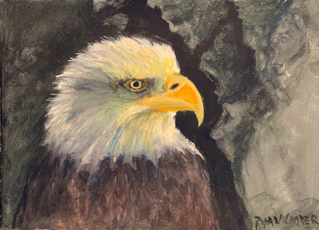 A painting titled 'Eagle Study by Ryan Louder' by Ryan Louder
