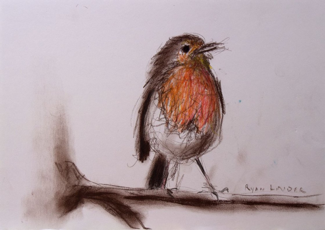 Robin Red Breast by Ryan Louder - Hahnemühle German Etching Fine Art Print