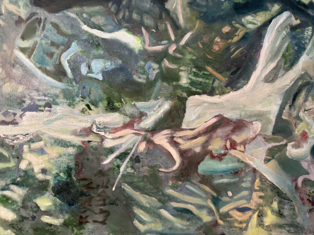 Eucalyptus - close-up-artwork