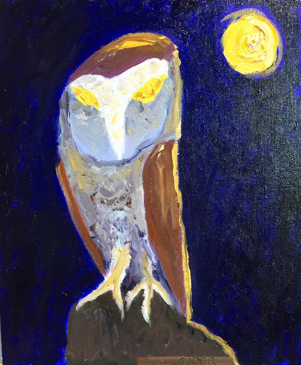 Owl - full-frontal