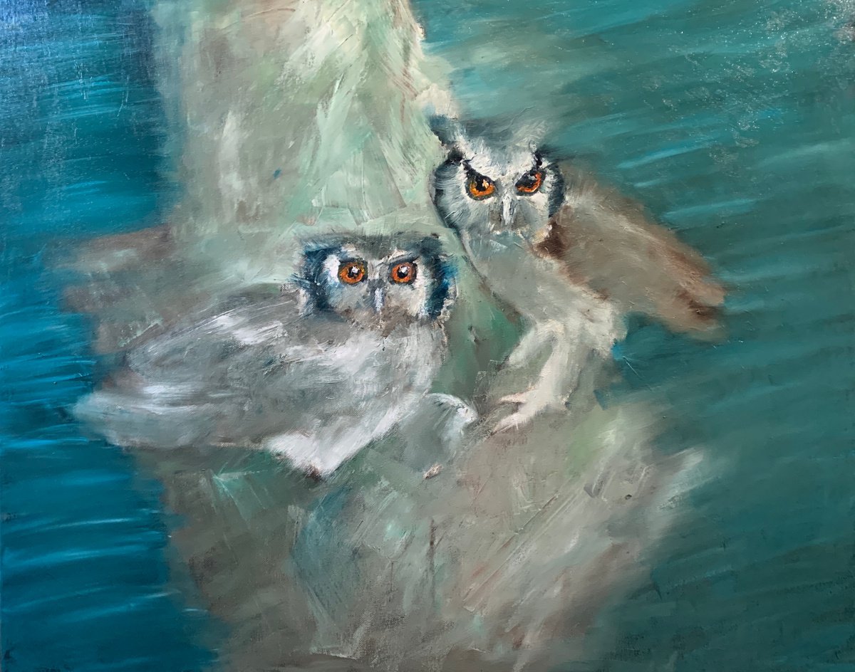 Two Owls And A Baby