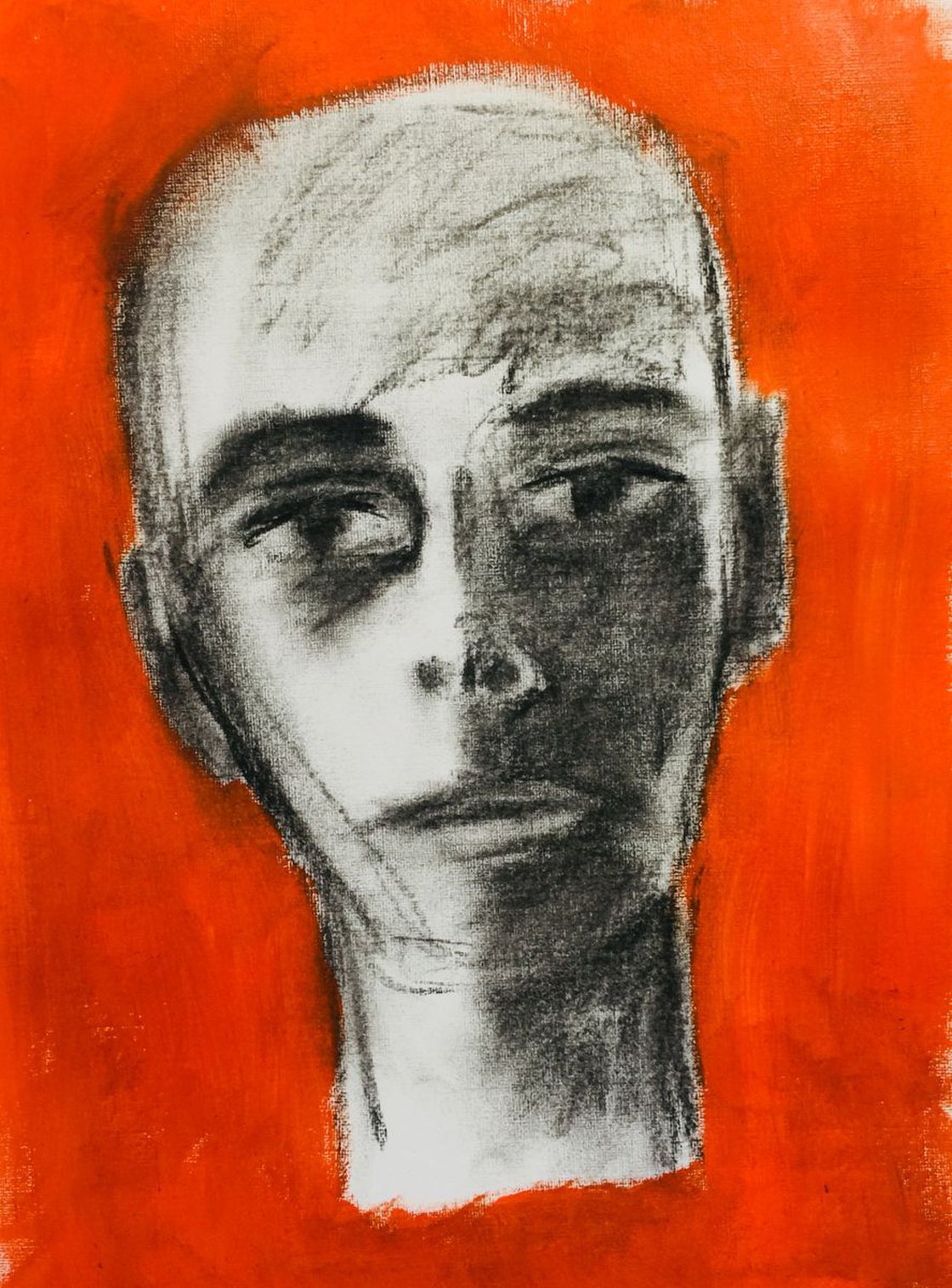 Face Rebellion by Ryan Louder - Hahnemühle German Etching Fine Art Print