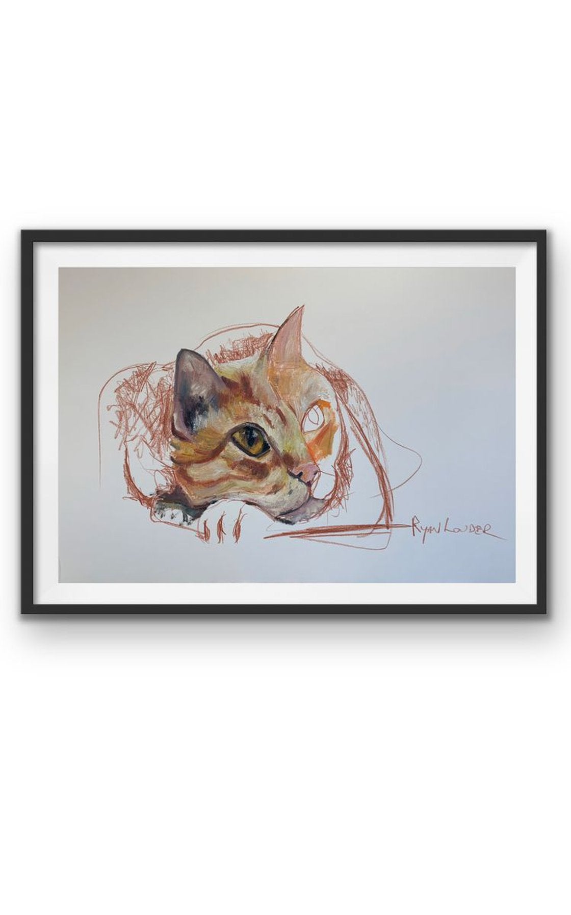 CAT Study by Ryan Louder