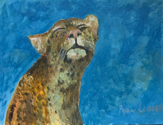 Leopard