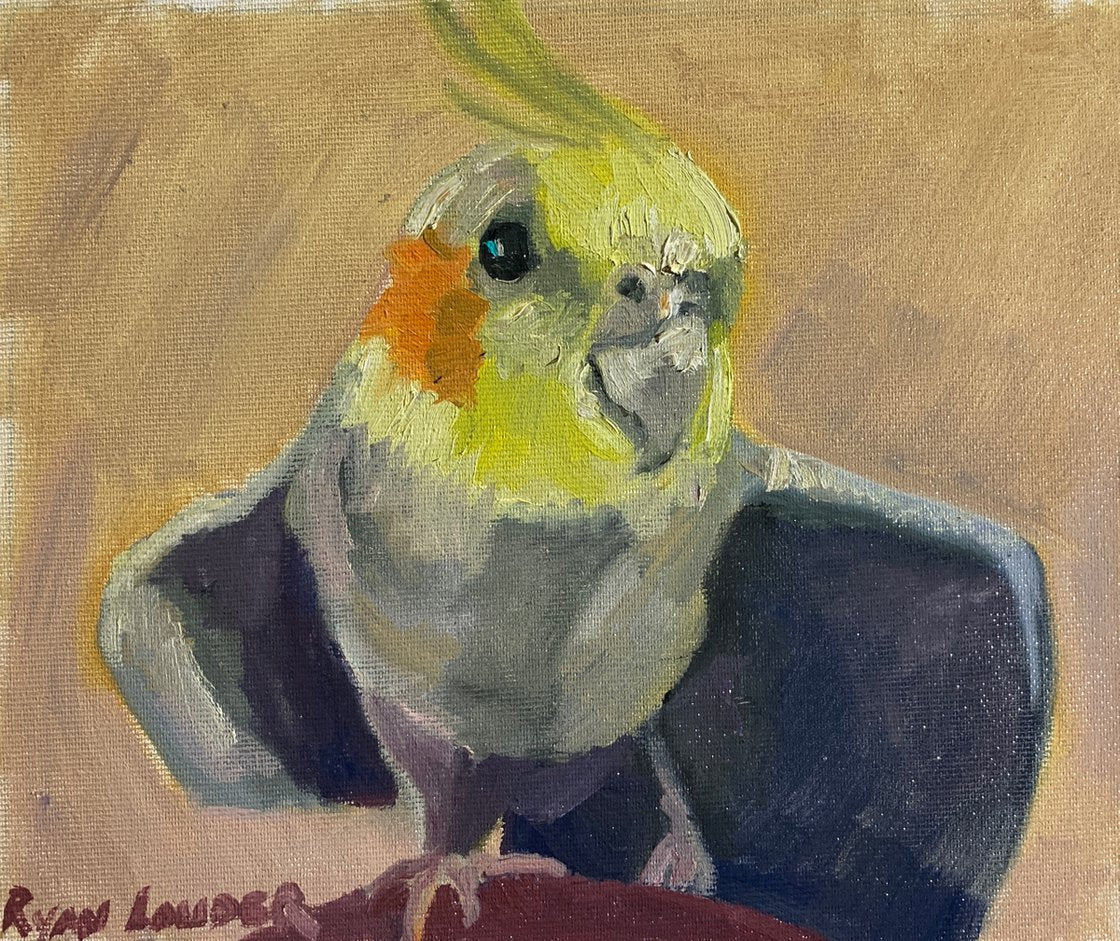 A painting titled 'Cockatiel Stretching by Ryan  Louder' by Ryan Louder