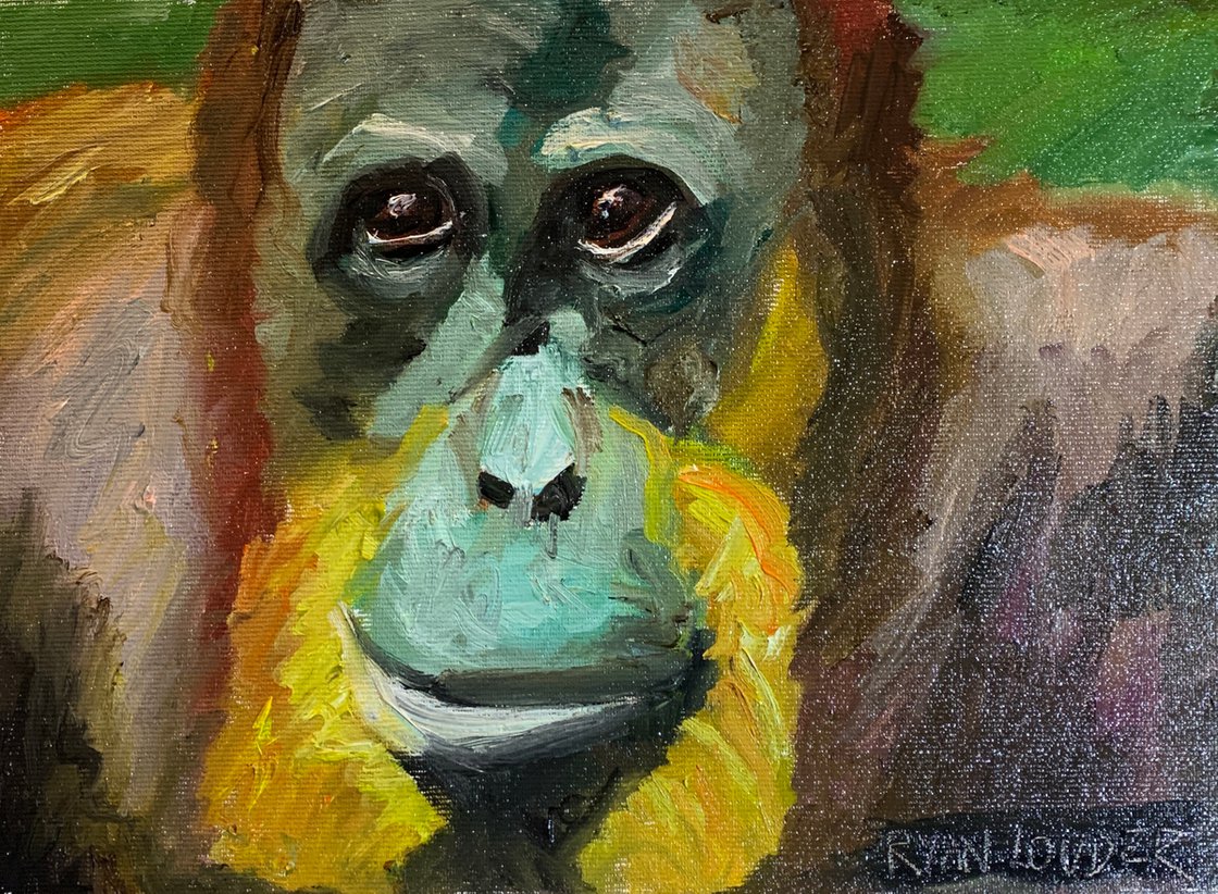 Orangutan by Ryan Louder - Hahnemühle German Etching Fine Art Print