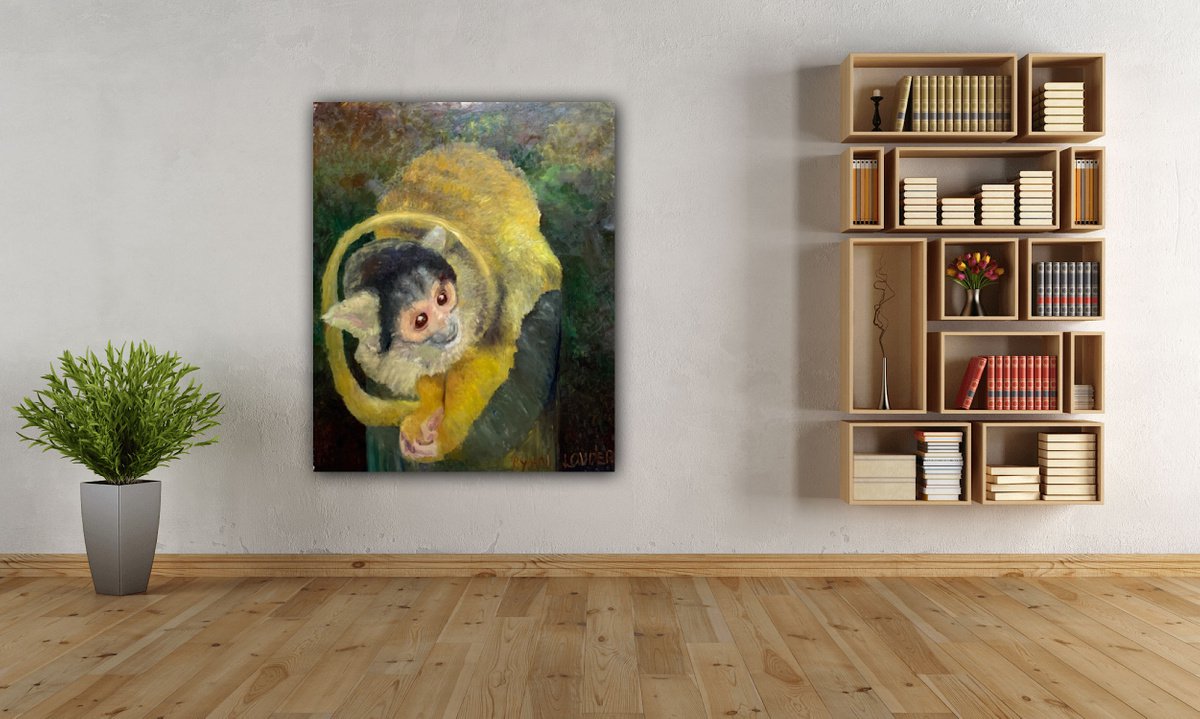 Squirrel Monkey - in-context-home