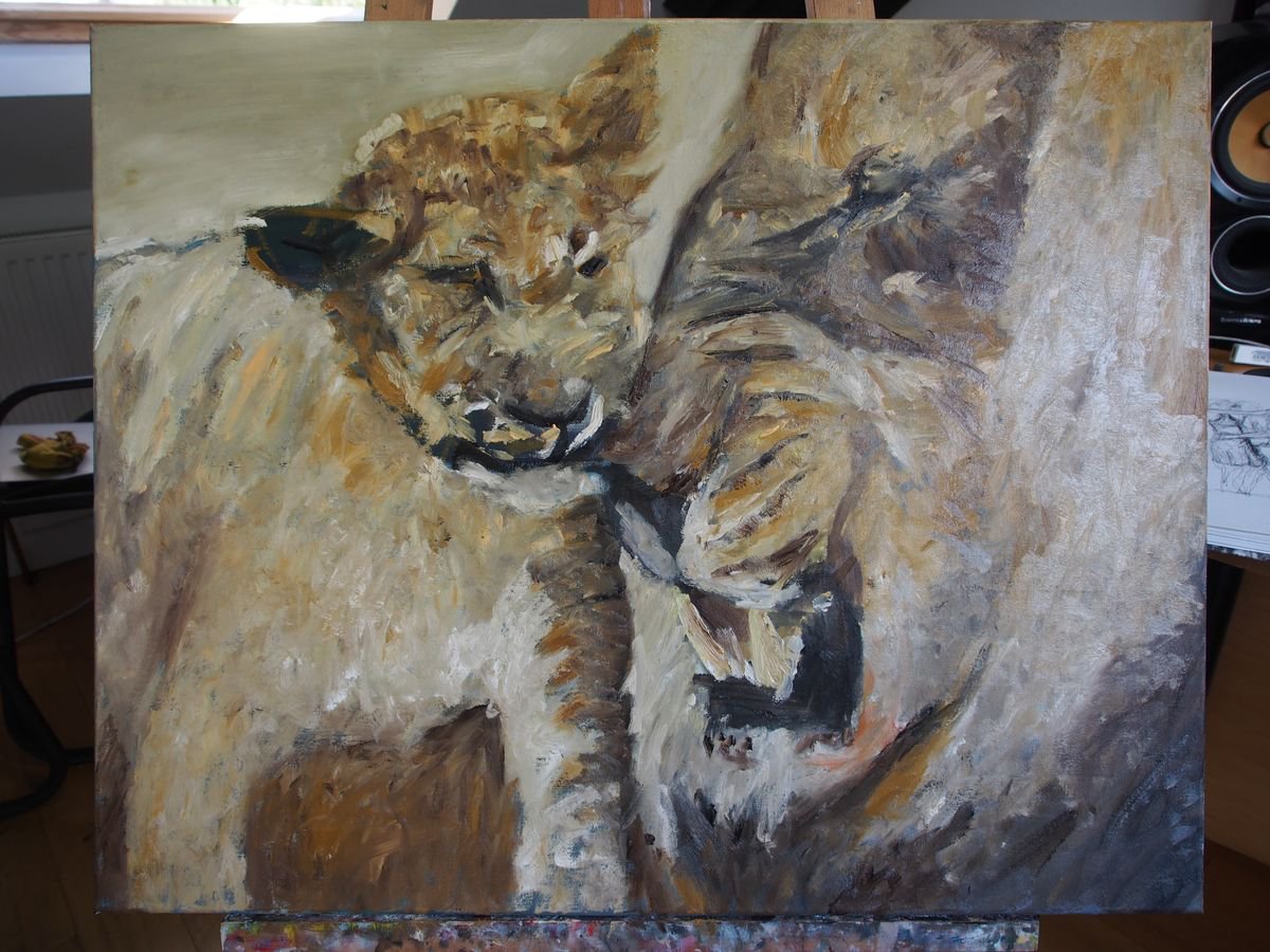 Lion - in-context-studio