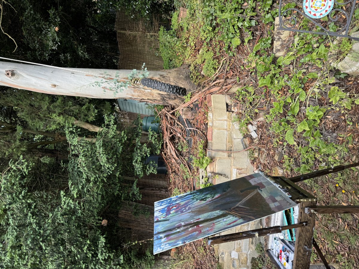 Cat By The Eucalyptus Tree - in-context-studio