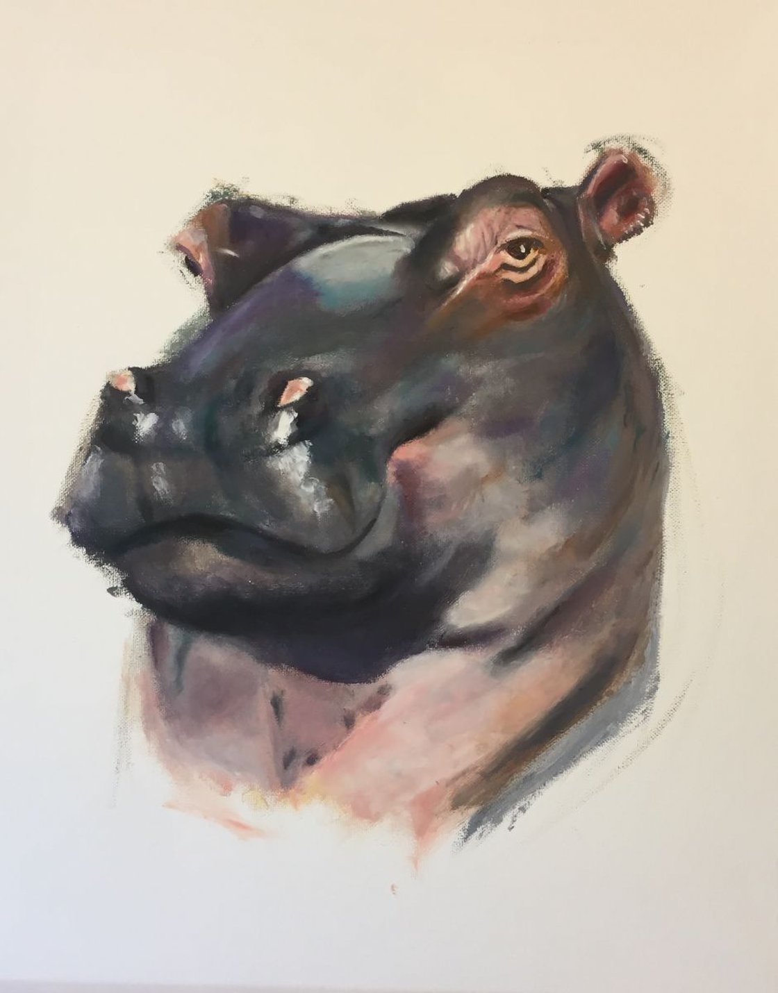 Hello Mr Hippo by Ryan Louder - Hahnemühle German Etching Fine Art Print