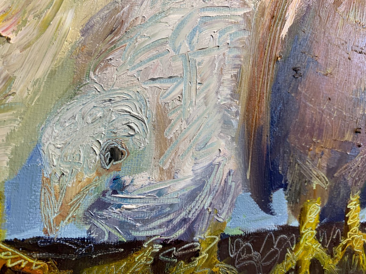 Chickens - close-up-artwork