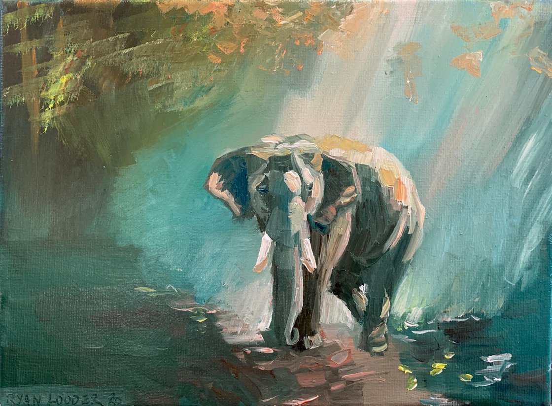 Sleepy Elephant by Ryan Louder - Hahnemühle German Etching Fine Art Print