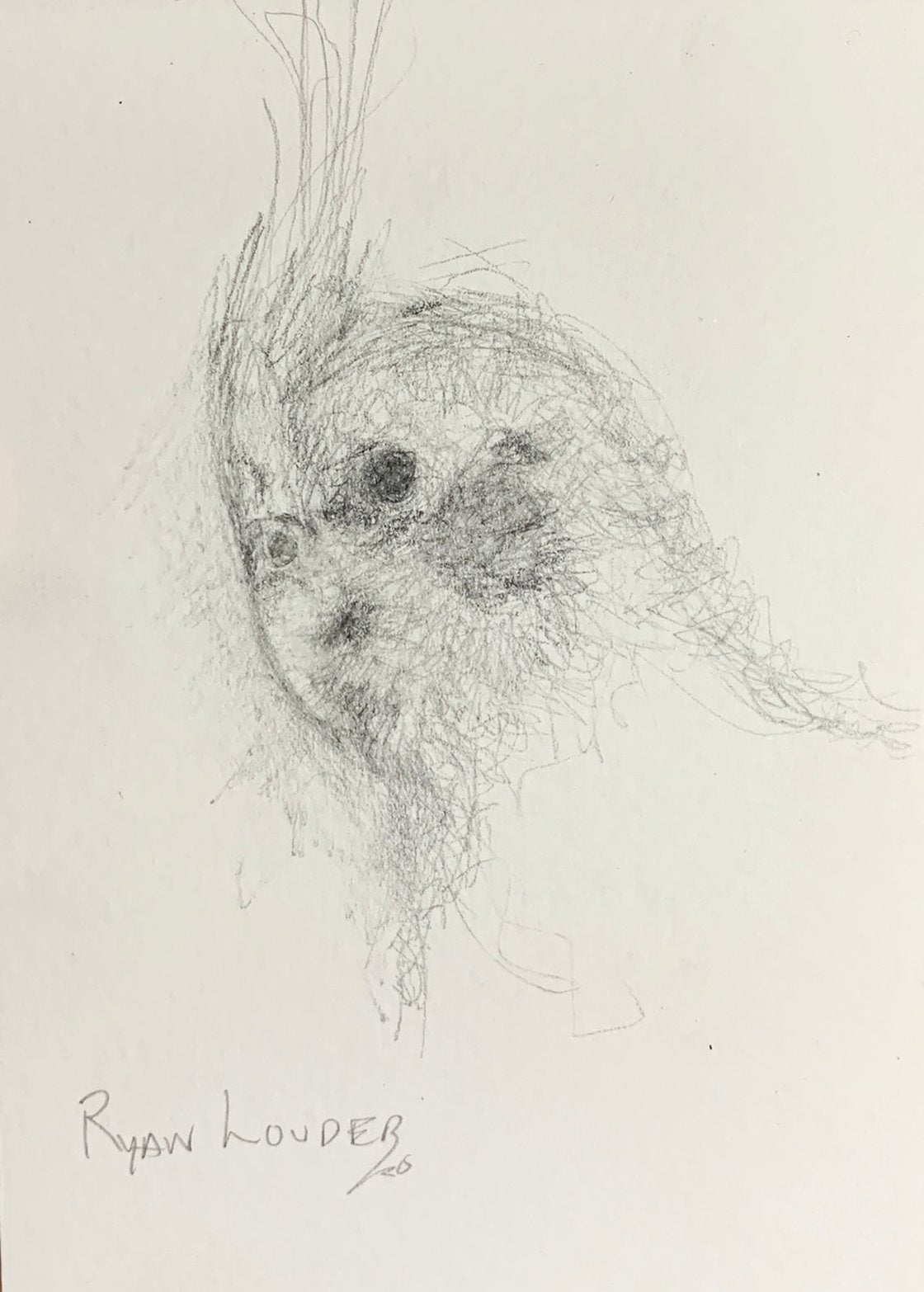 A painting titled 'Cockatiel Head Study by Ryan  Louder' by Ryan Louder