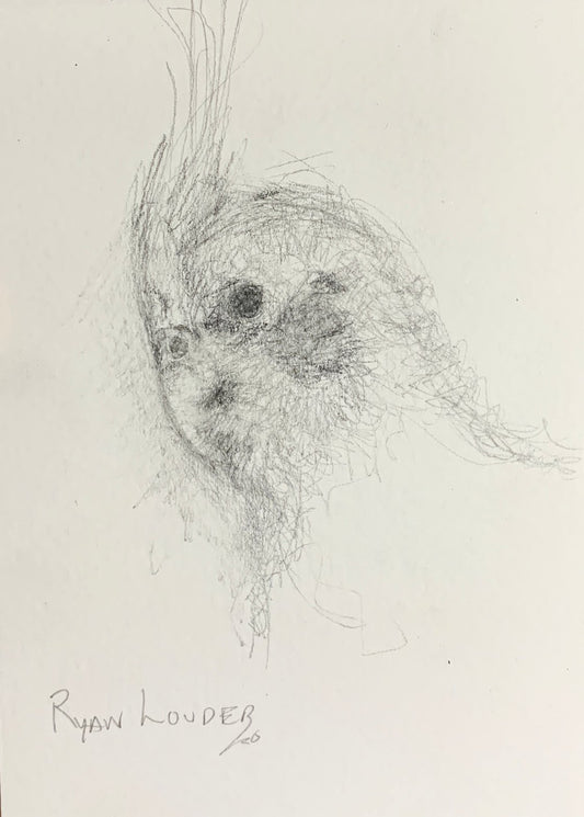 A painting titled 'Cockatiel Head Study by Ryan  Louder' by Ryan Louder