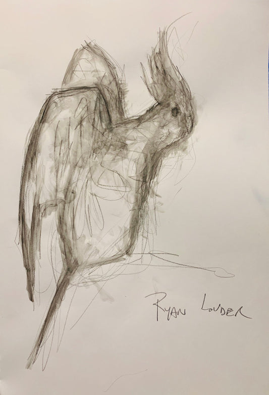 A painting titled 'Cockatiel study on paper by Ryan  Louder' by Ryan Louder