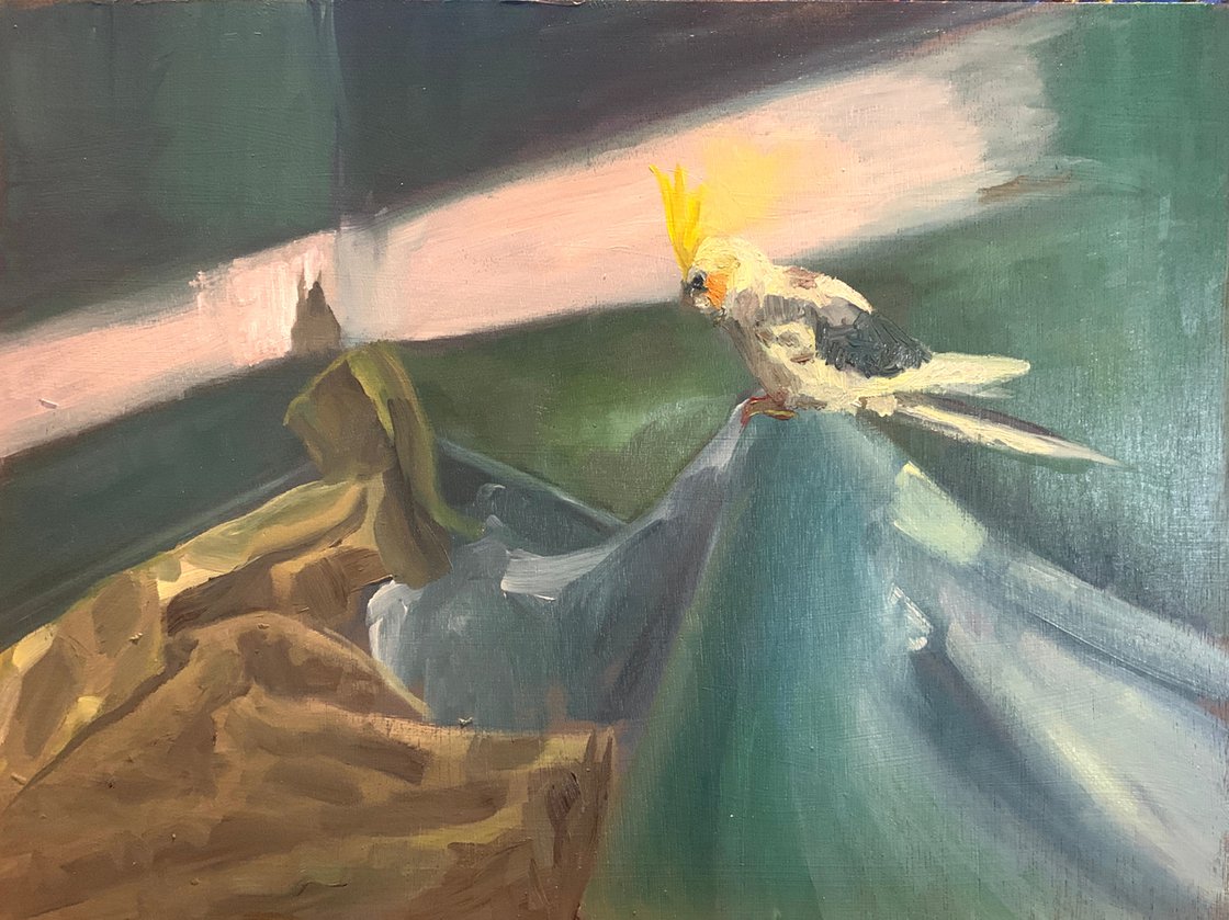 A painting titled 'Cockatiel Looking At His Shadow by Ryan  Louder' by Ryan Louder