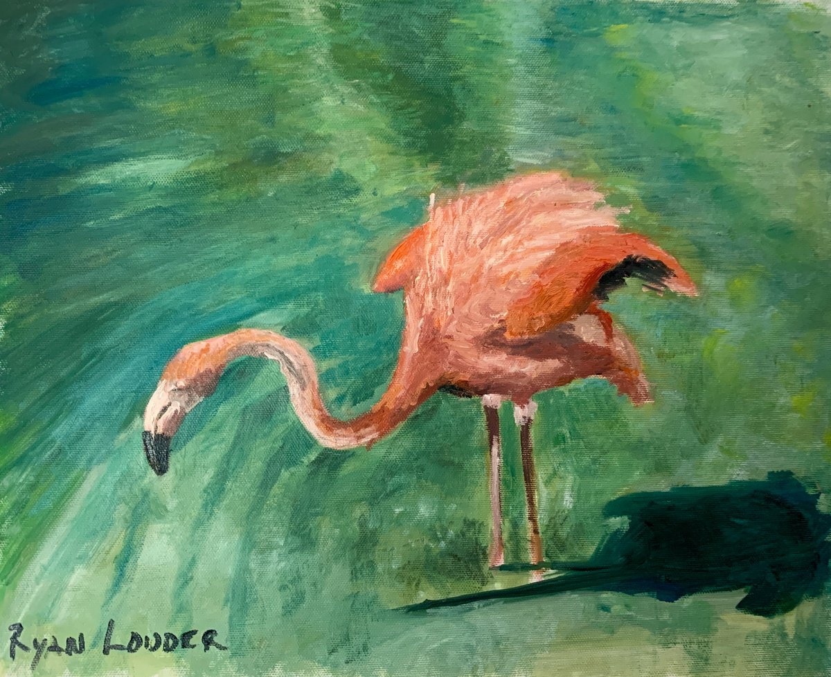 Flamingo Grazing by Ryan Louder Print