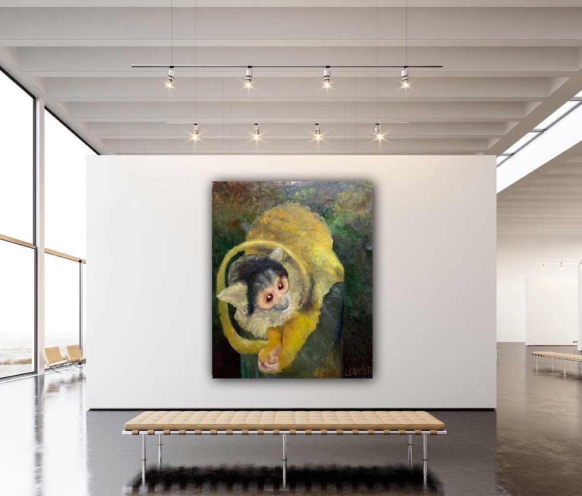 Squirrel Monkey - in-context-home