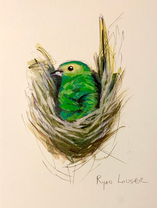 Bird Nesting by Ryan Louder