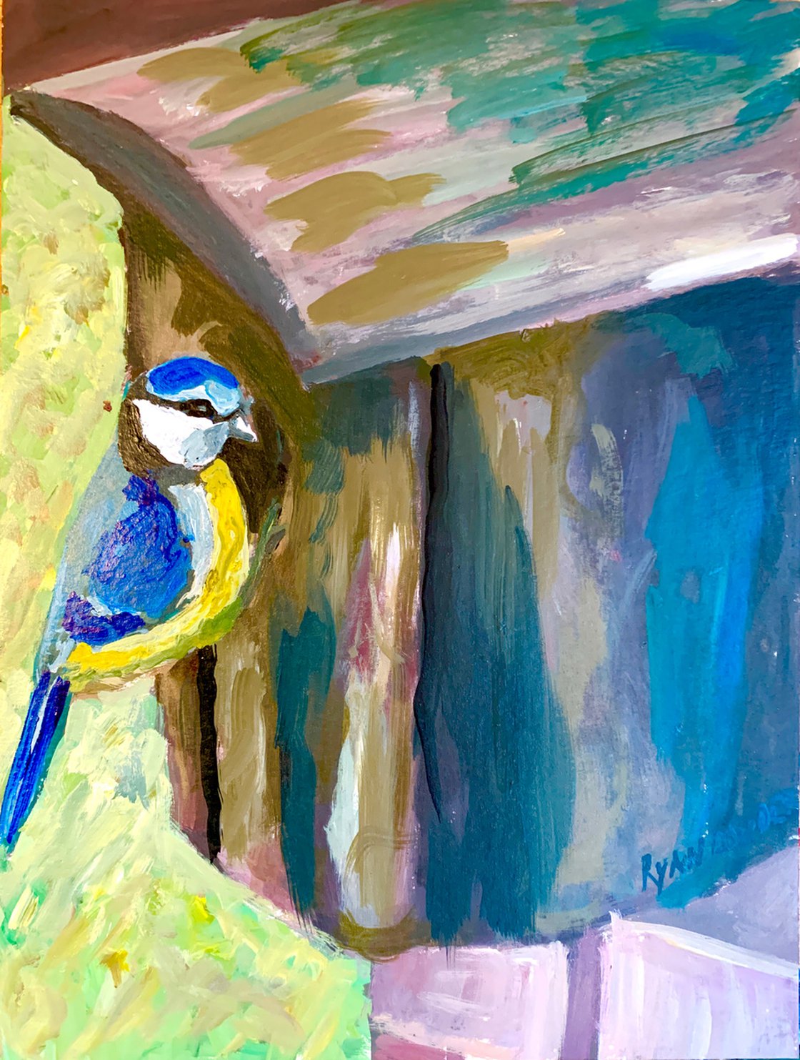 Blue Tit In Spring by Ryan Louder