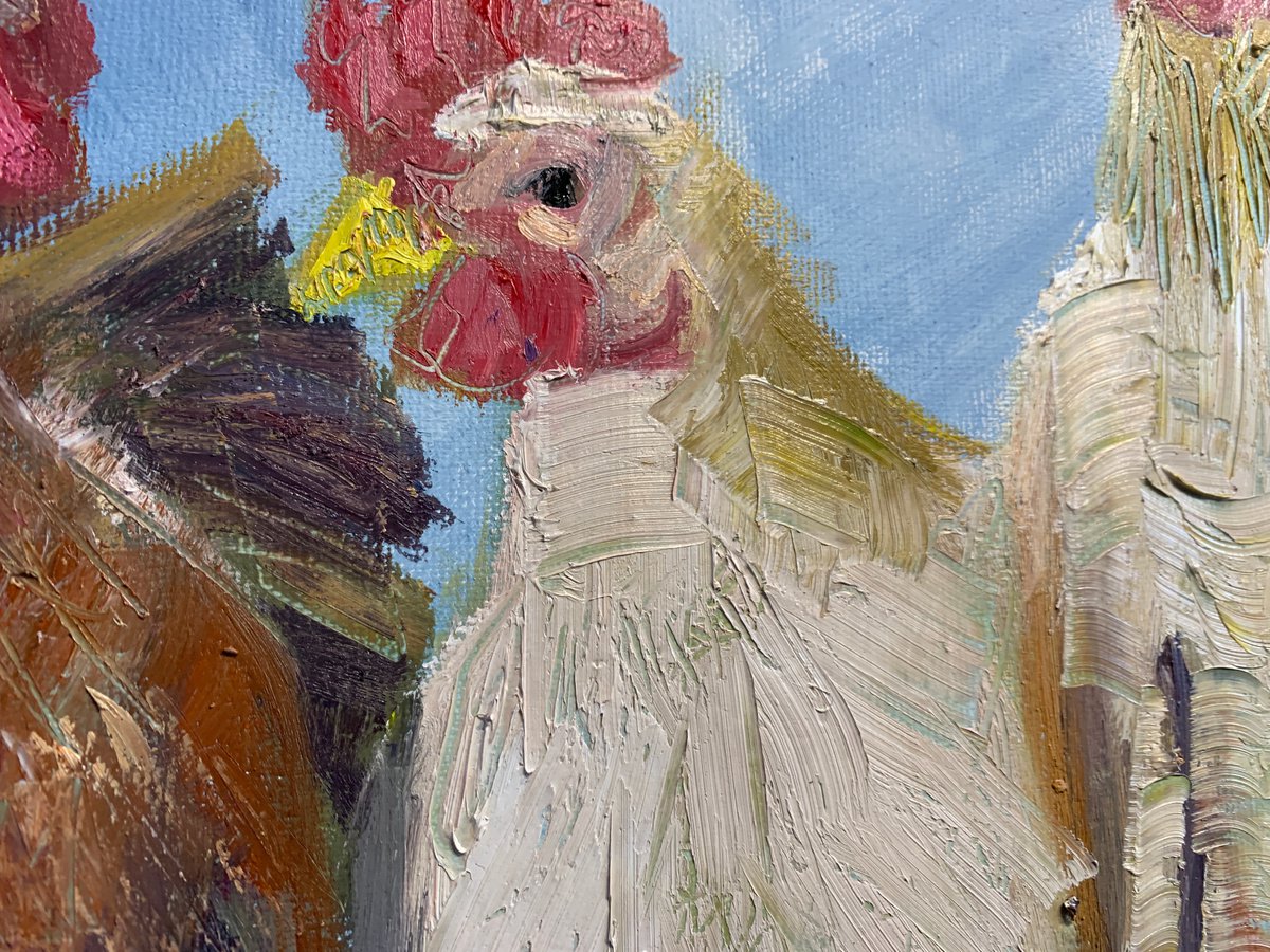 Chickens - close-up-artwork
