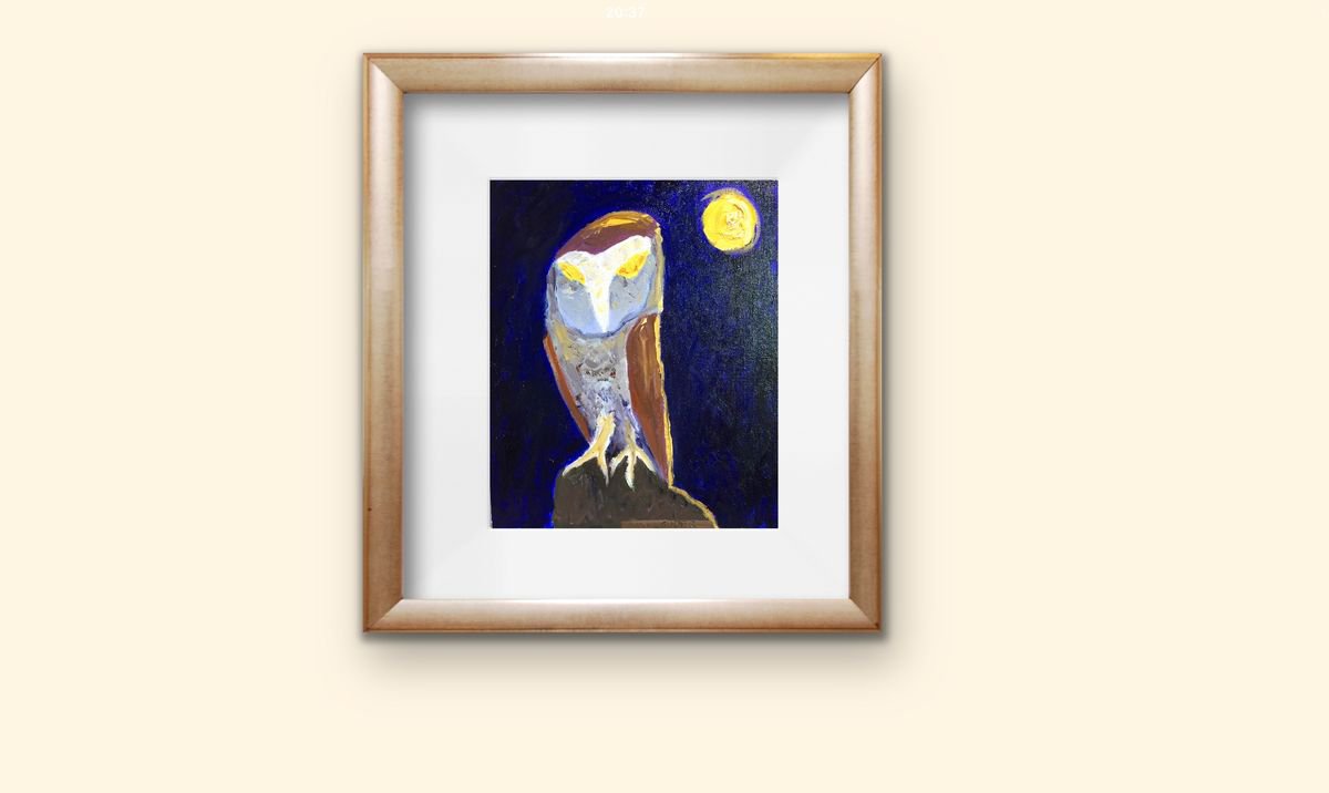Owl