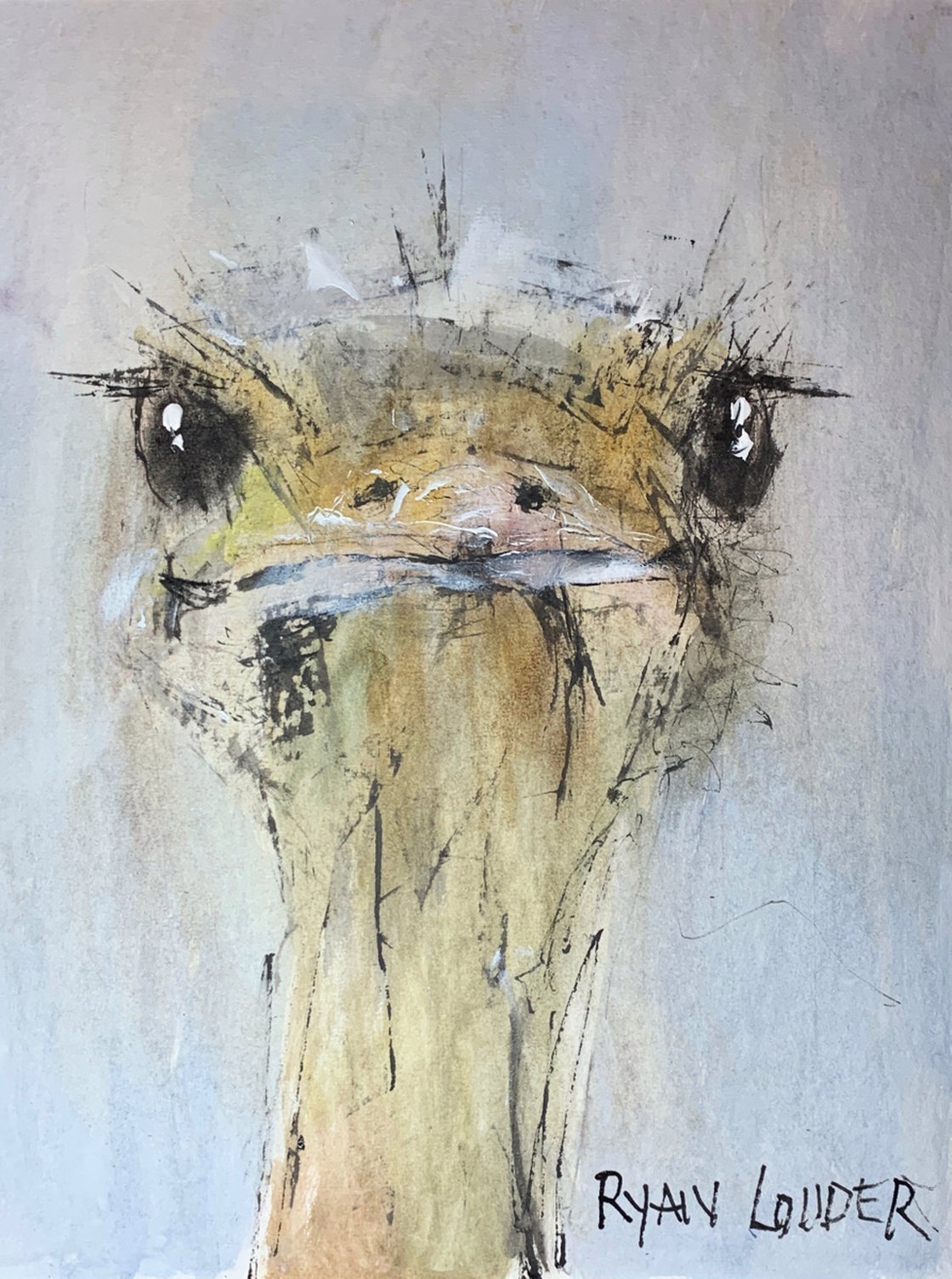 Ostrich by Ryan Louder - Hahnemühle German Etching Fine Art Print