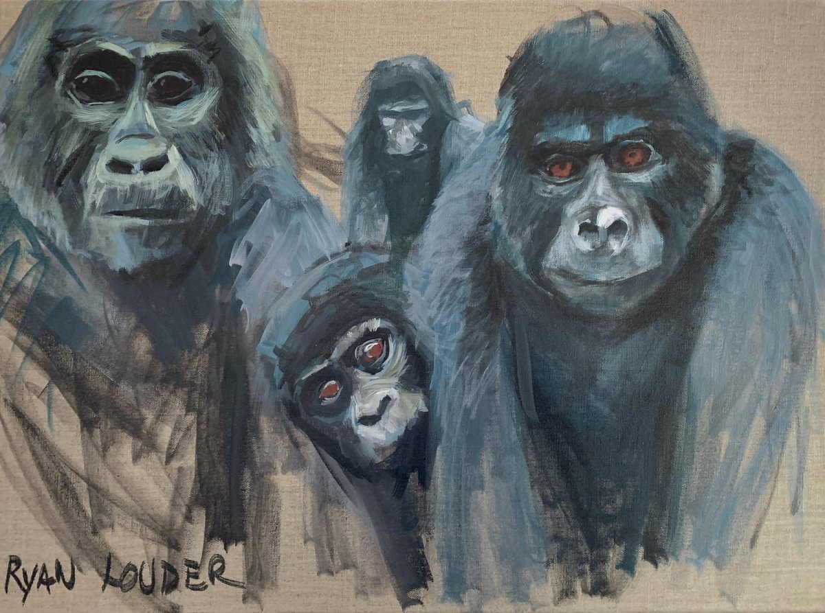 Three Gorillas And A Curiou...