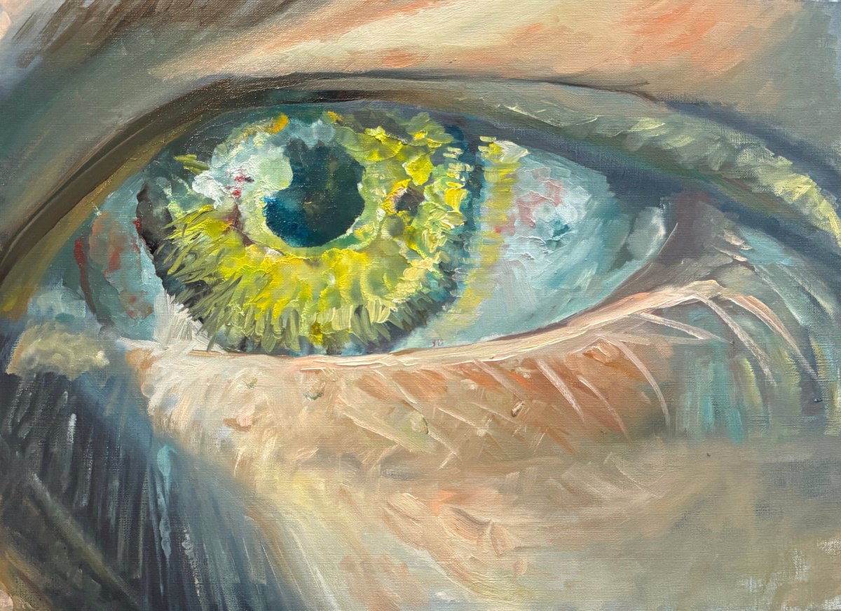 The Eye