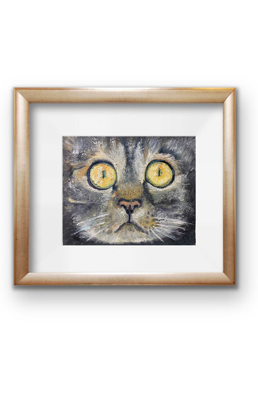 Cat by Ryan Louder