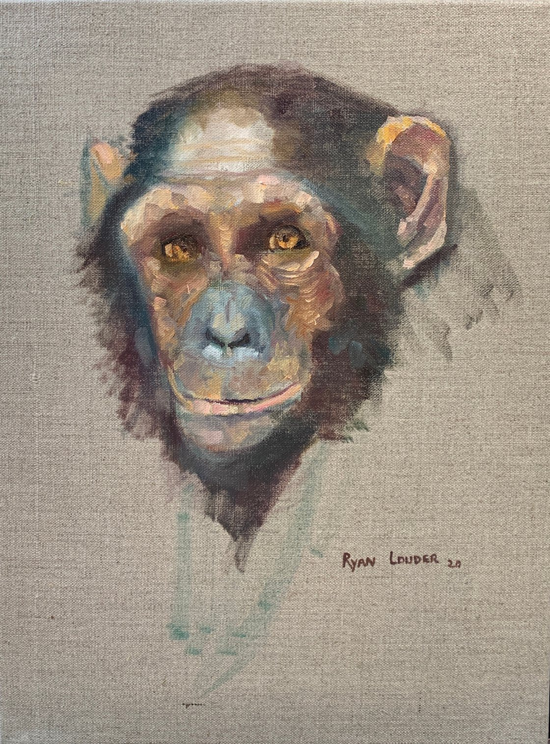 Chimpanzee by Ryan Louder