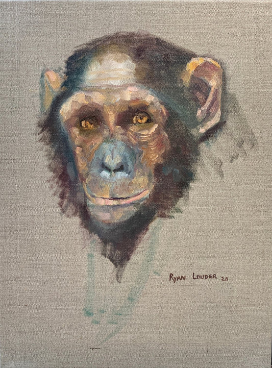 Chimpanzee by Ryan Louder