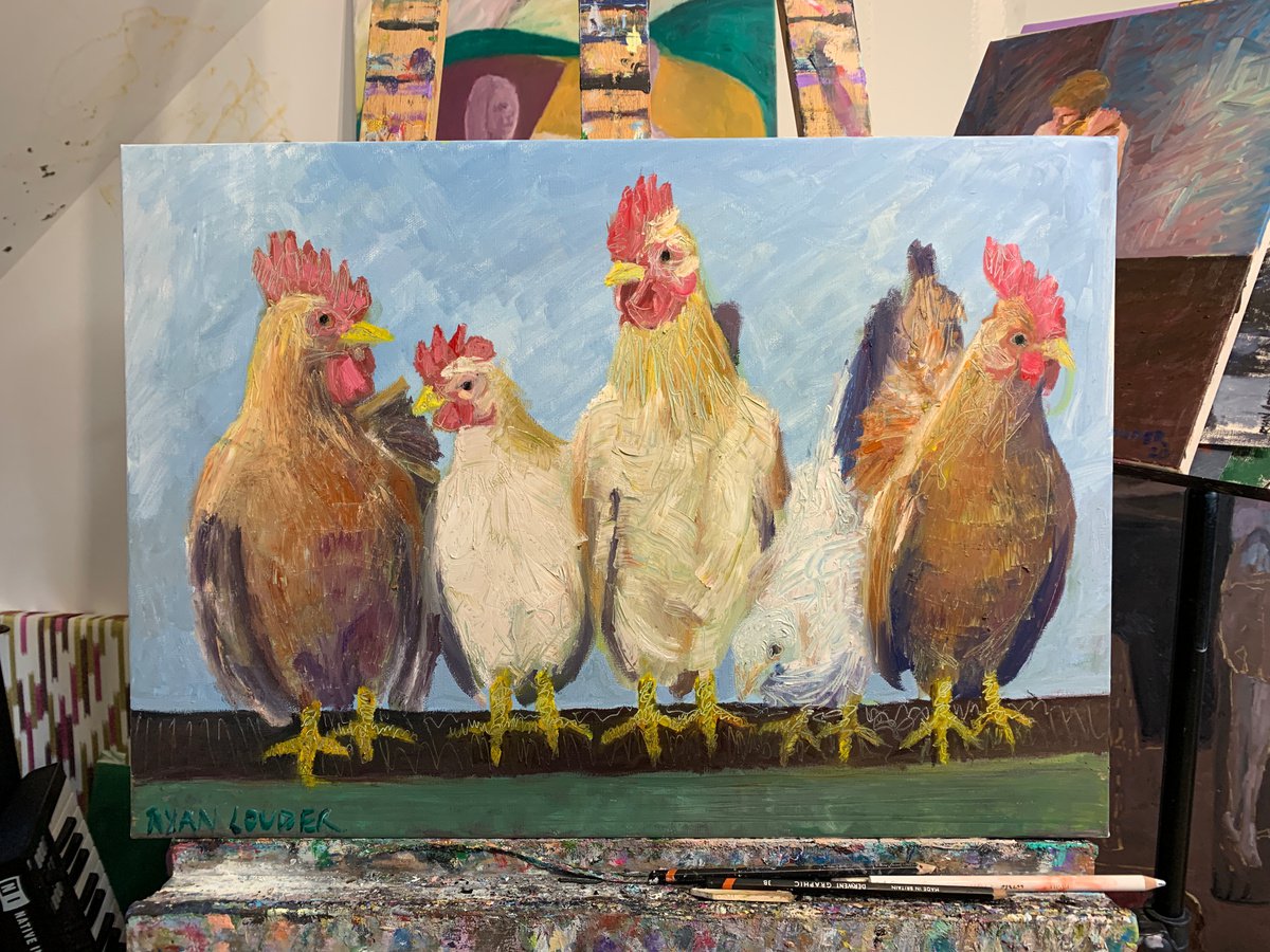Chickens - in-context-studio