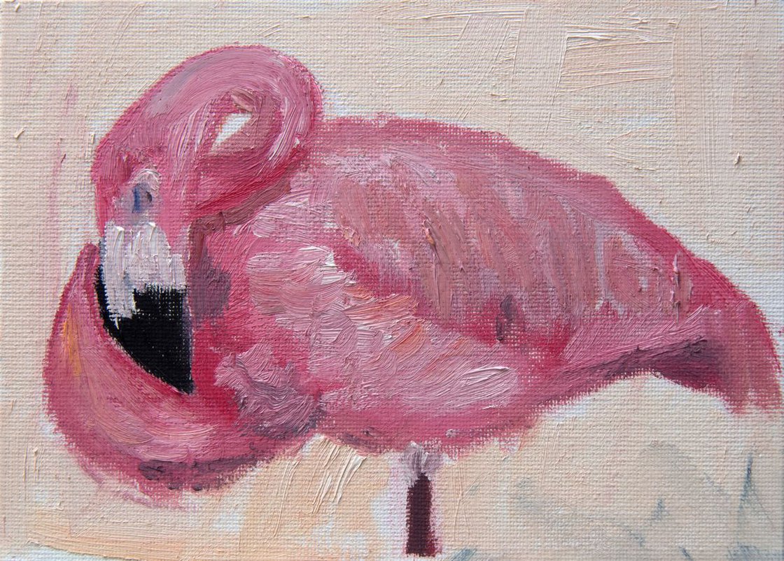 Flamingo Painting - Flamingos Sleeping 3 - Bird painting - Flamingo Wall Art by Ryan Louder - Hahnemühle German Etching Fine Art Print