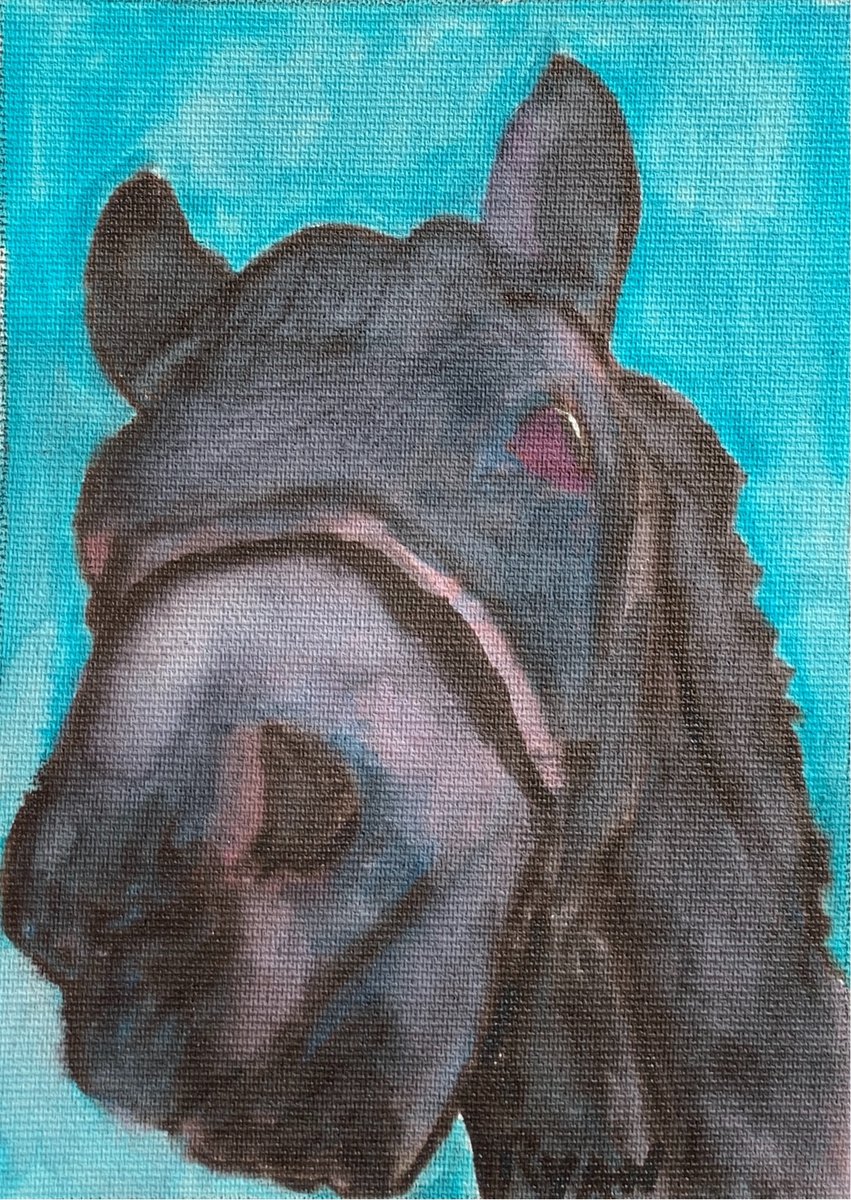 Horse by Ryan Louder Print